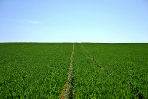 Smart Agriculture